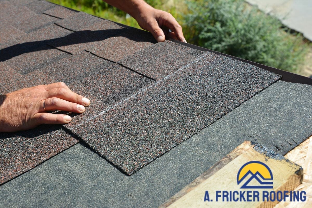 Which Type Of Asphalt Shingles Are Right For You?