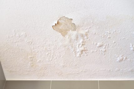 Water Stains on the Ceiling or Walls