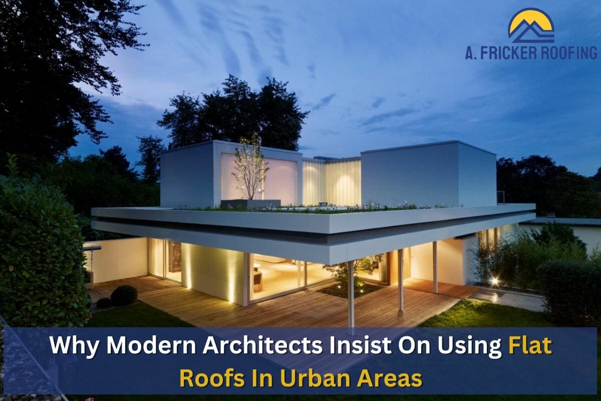 Why Modern Architects Insist On Using Flat Roofs In Urban Areas