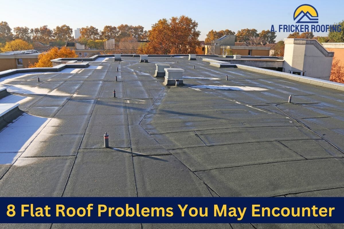 8 Flat Roof Problems You May Encounter
