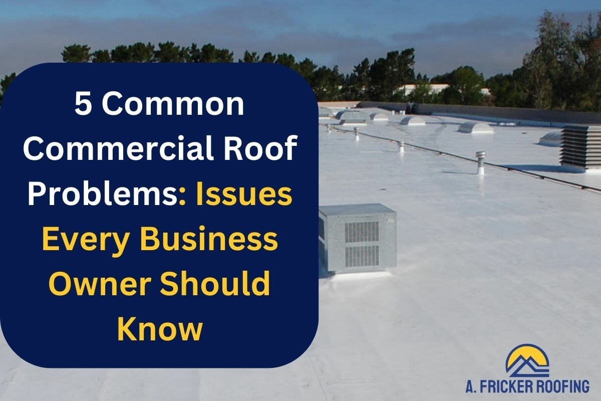 5 Common Commercial Roof Problems: Issues Every Business Owner Should Know