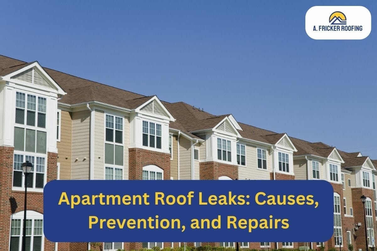 Apartment Roof Leaks: Causes, Prevention, and Repairs
