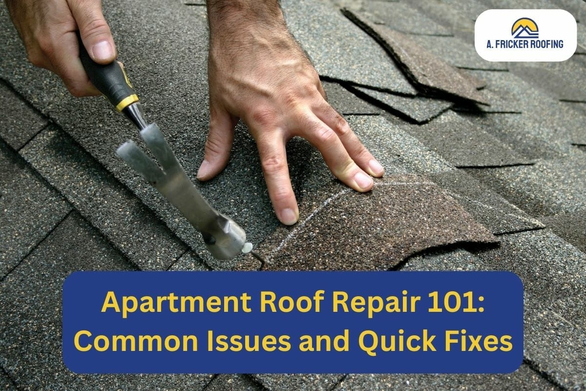 Apartment Roof Repair 101: Common Issues and Quick Fixes