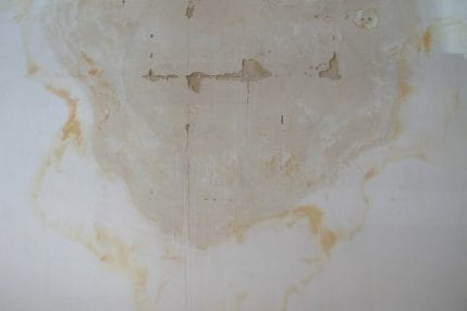 Water Stains on the Ceilings and Walls