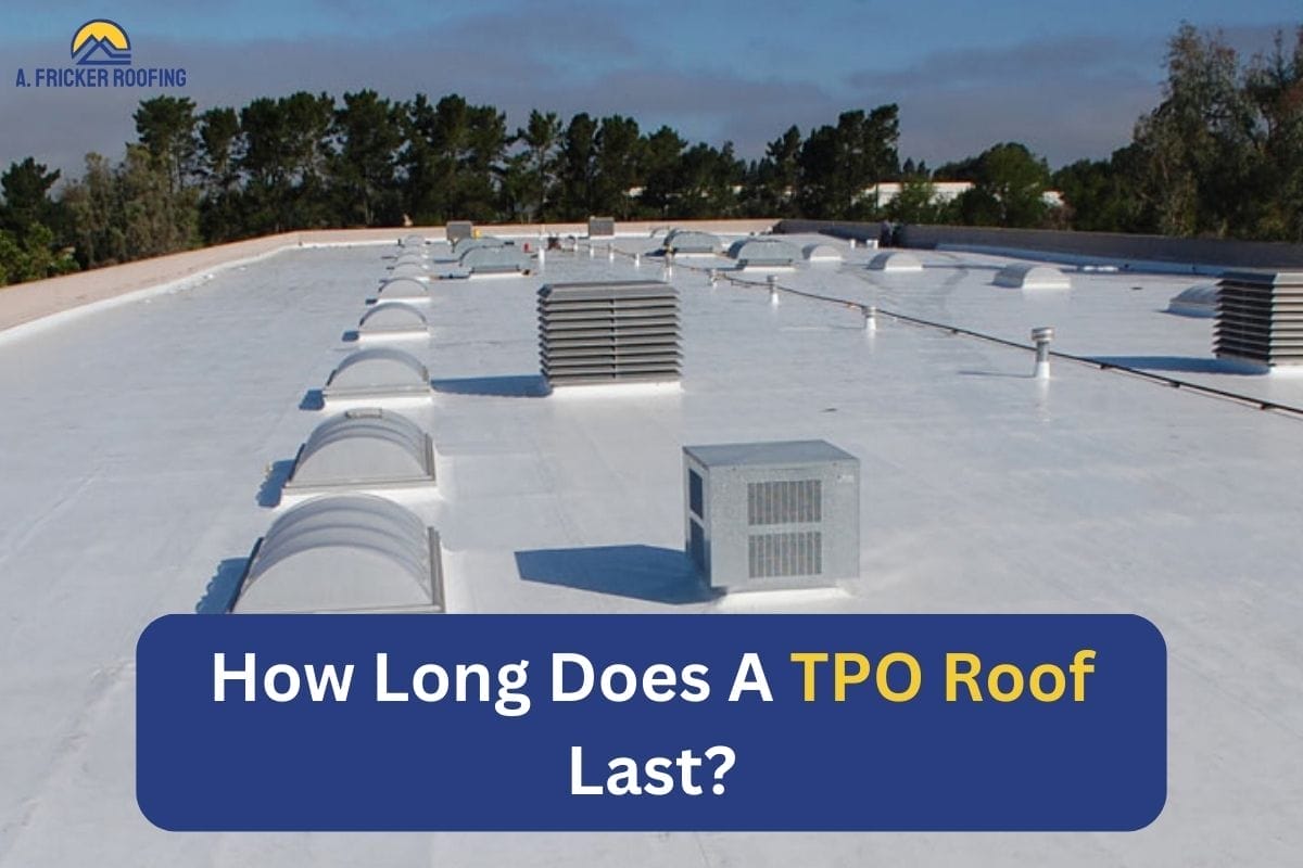 How Long Does A TPO Roof Last?